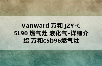 Vanward 万和 JZY-C5L90 燃气灶 液化气-详细介绍 万和c5b96燃气灶